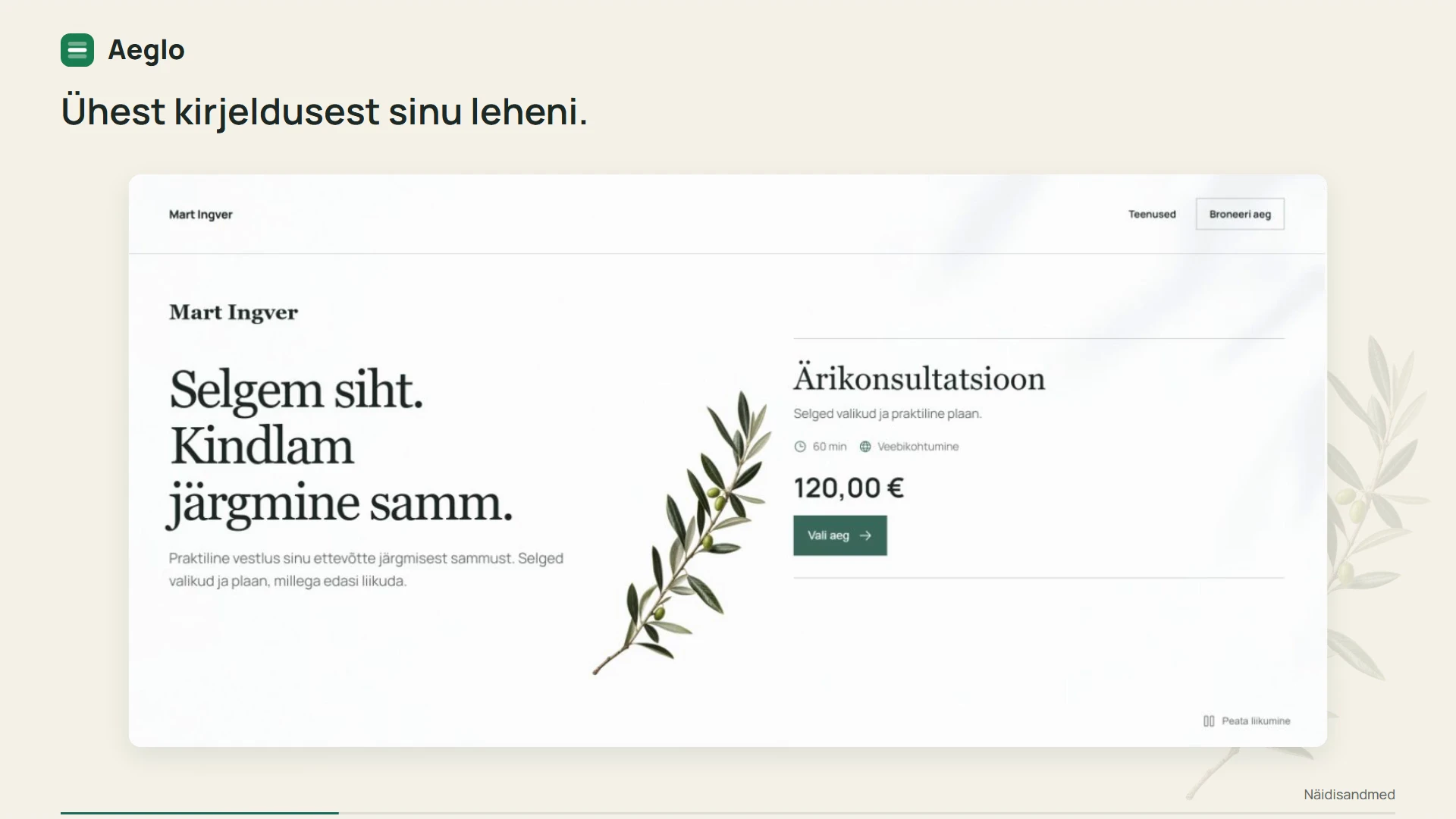 Aeglo lehe redaktor: muuda oma tutvustust, teenuseid ja kujundust otse lehel.